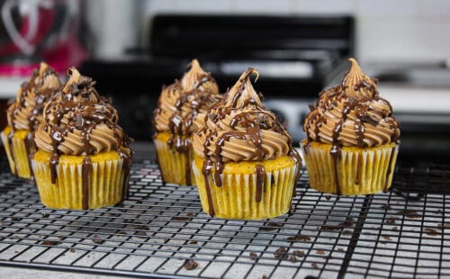 巧克力糖霜南瓜蛋糕的图片