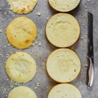 作为蛋糕故障排除指南的一部分制作的四个蛋糕层的图像，以显示蛋糕层不正确时会发生什么