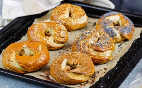 自制百吉饼的图像具有不同的浇头制成