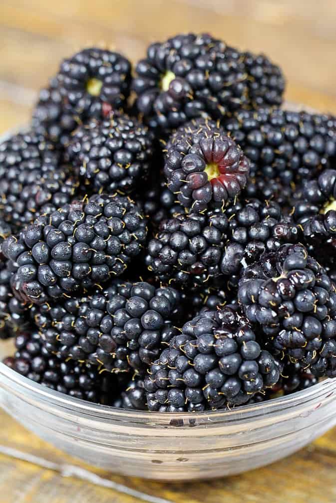 新近地采摘黑莓的图像