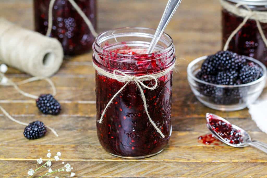 黑莓冷冻机果酱的图象已设置并准备好吃