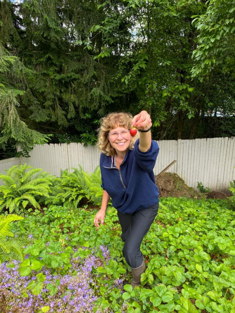 我妈妈采摘草莓做certo草莓冷冻果酱的画面