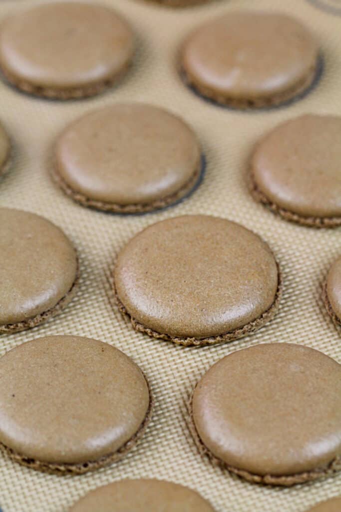 形象的巧克力未曾壳烤silpat硅胶垫和冷却