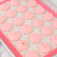 意大利未曾贝壳的形象了