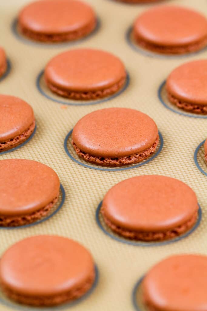 被烘烤的姜饼macaron壳的图象