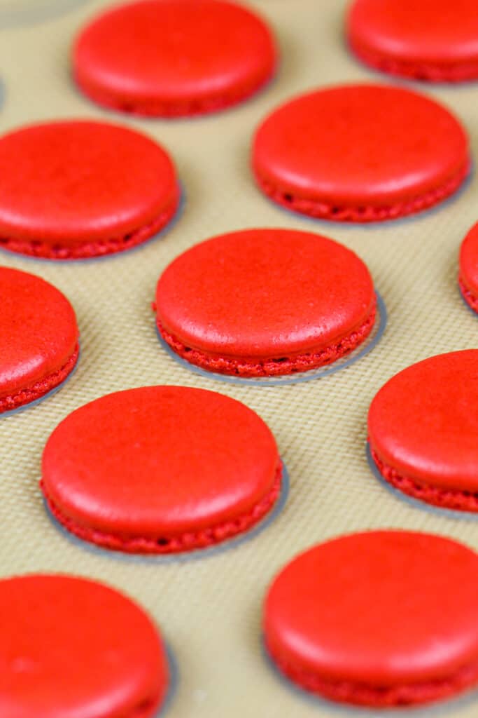 烤红色天鹅绒未曾贝壳的形象