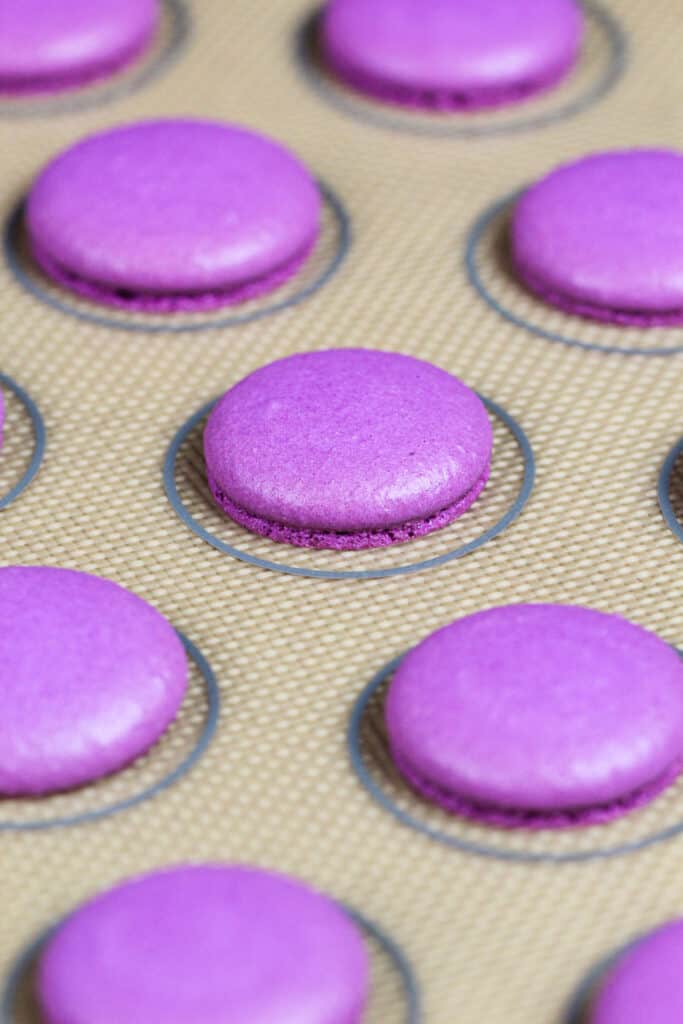 紫色的法国马卡龙壳已经烤好，形成了完美的脚