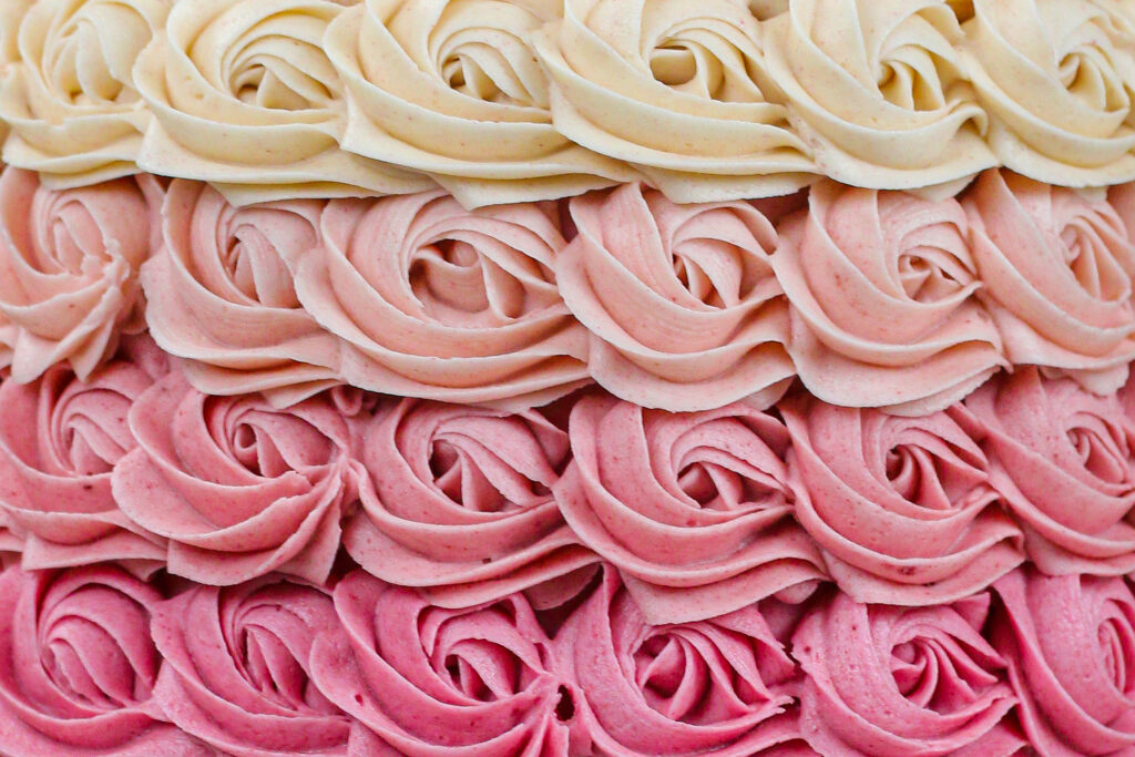 关闭的图象由chelswets的chelsey白色做的完善的桃红色ombre乳酪玫瑰花丝毛玫瑰花