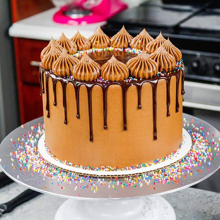 图片一个华丽的巧克力滴灌蛋糕，装饰有小彩虹非辣椒洒