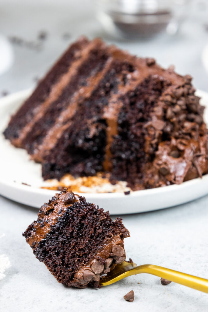 一片死亡的图象由巧克力蛋糕制成的巧克力蛋糕层数，颓废黑巧克力乳酪，并且涂有在板材的微型巧克力芯片