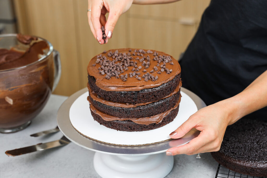 被巧克力蛋糕的死亡的图象被组装与黑暗的巧克力结霜和微型巧克力芯片