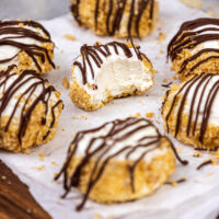 奶油和美味的无烤芝士蛋糕叮咬的图像，它被咬伤以表明它是令人难以置信的质地