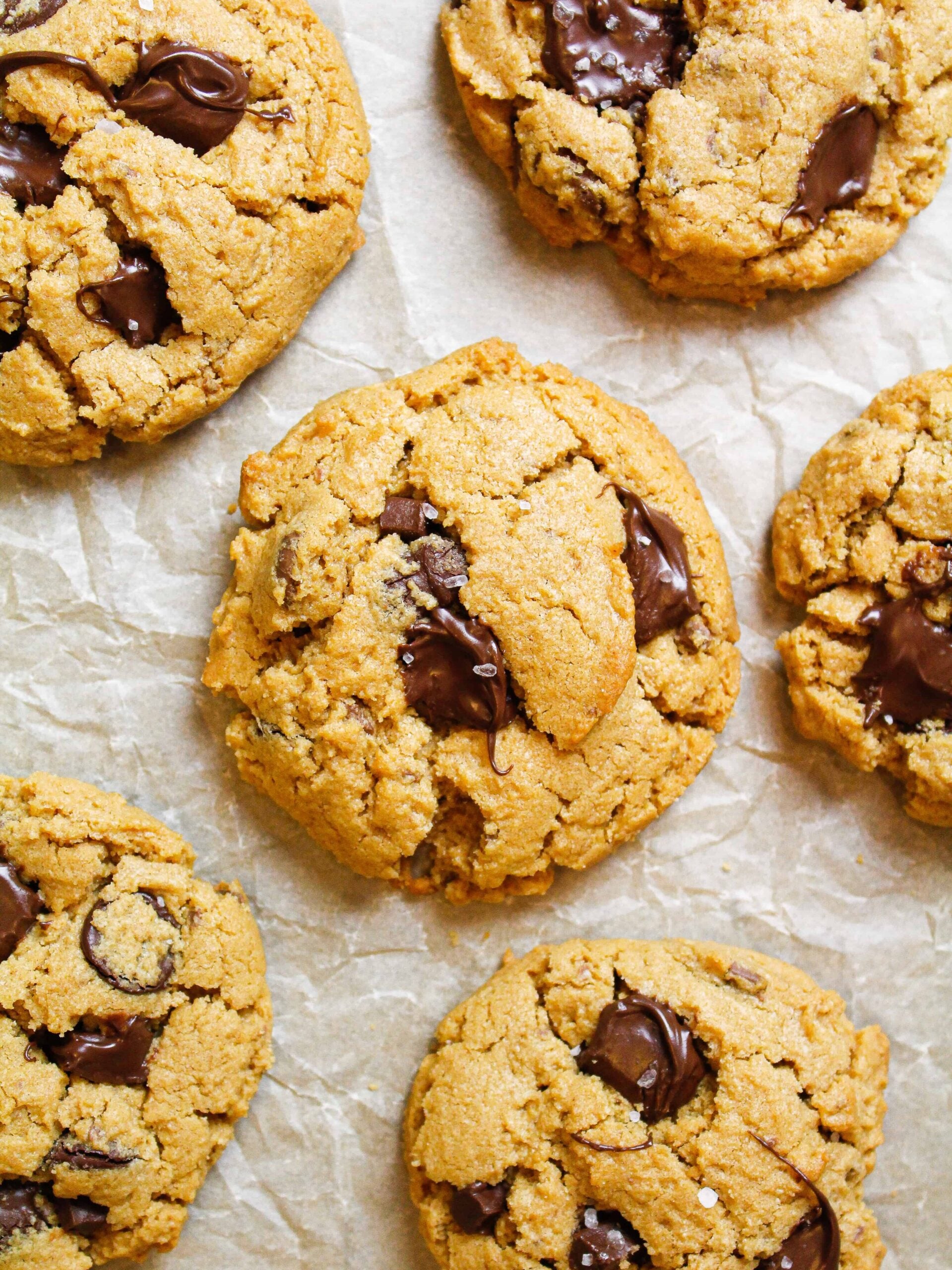 形象的花生酱饼干5成分手给融化巧克力和海盐的雪花