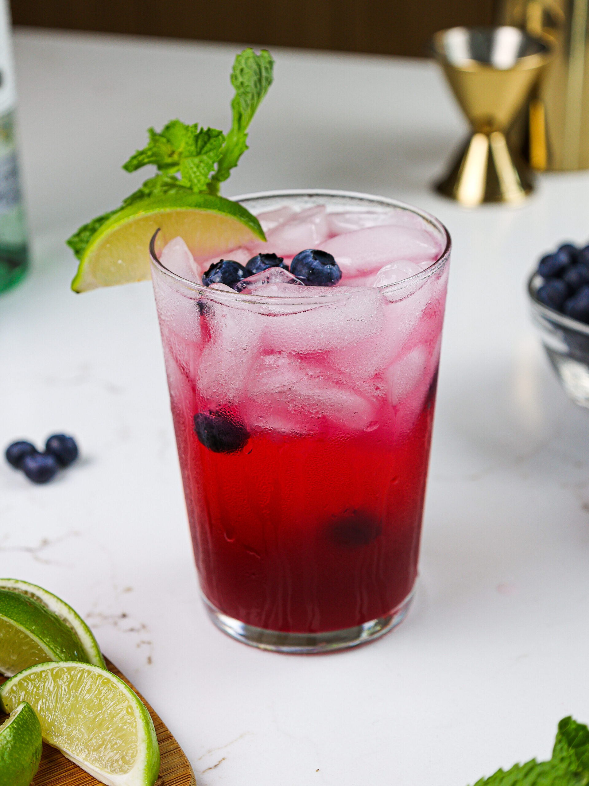 蓝莓莫吉托的图像，上面饰有新鲜蓝莓，小树枝和柠檬楔的图像